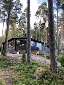 a house in the middle of a forest with trees at Rantahuvila Naantalissa in Naantali