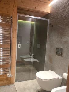 a bathroom with a shower and a toilet and a sink at Fior di Roccia Apartments in Breuil-Cervinia