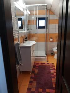 La salle de bains est pourvue d'un lavabo et de toilettes. dans l'établissement Apple Glade, à Poiana Mărului