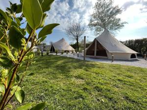 a row of tents in a field with grass at Polladras Holiday Park in Helston