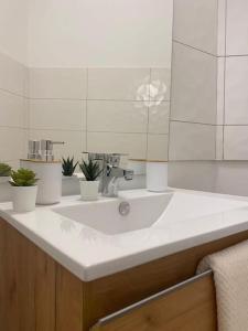 ein Badezimmer mit einem weißen Waschbecken und einem Spiegel in der Unterkunft The Jungle Studio, loggia & parking dans résidence in Romans-sur-Isère