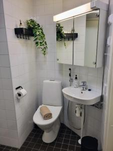 Koupelna v ubytování Beautiful 67m2 apartment in Port Arthur (Free parking, WiFi & AC)