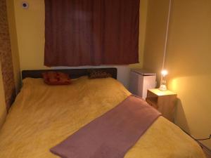 Łóżko w małym pokoju z oknem w obiekcie FIÓNA KUNYHÓJA APARTMANHÁZ w mieście Orosháza