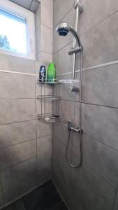 a shower with a shower head in a bathroom at FIÓNA KUNYHÓJA APARTMANHÁZ in Orosháza