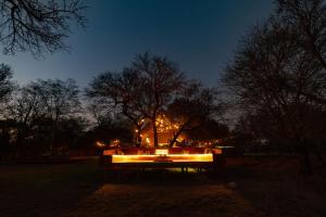 Tomo Safari Lodge في هويدزبروت: حديقة مضاءة ليلا مع الاشجار والاضائة