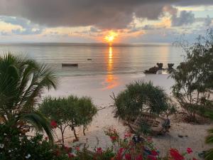 a sunset over the ocean with a beach with plants at Zi Villa Dhow Beach Cottage in Matemwe