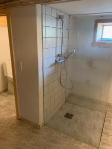 a shower with a glass door in a bathroom at Central by lejlighed in Nykøbing Falster