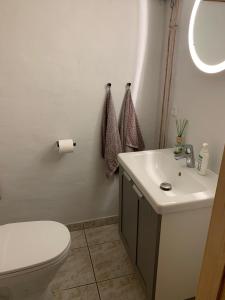 La salle de bains est pourvue de toilettes blanches et d'un lavabo. dans l'établissement Central by lejlighed, à Nykøbing Falster