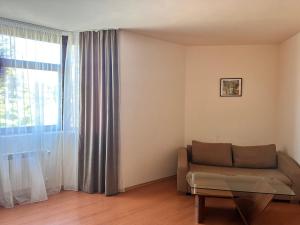 - un salon avec un canapé et une fenêtre dans l'établissement Flora Apartment 423, à Borovets