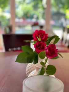 wazon z czerwonymi różami na stole w obiekcie Hotel Weinhaus Hoff w mieście Bad Honnef
