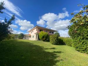 a house with a large yard with green grass at Casa do Senhor da Ponte in Gondifelos