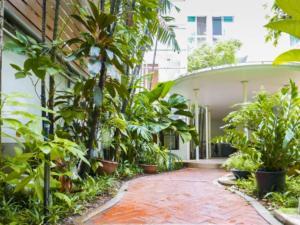 un patio de un edificio con muchas plantas en P.K. Garden Home, en Bangkok