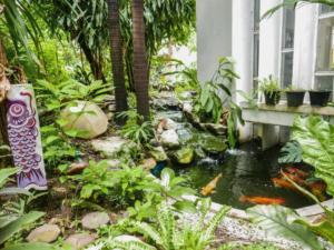 un jardin avec un étang à poissons en face d'une maison dans l'établissement P.K. Garden Home, à Bangkok