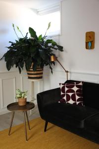 Afbeelding uit fotogalerij van B&B nr.15 in Vries