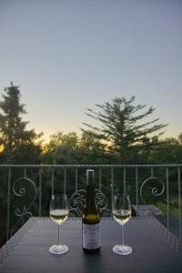 a bottle of wine and two glasses on a table at Apartment Traumzeit mit Balkon in Vorstadtvilla in Dresden
