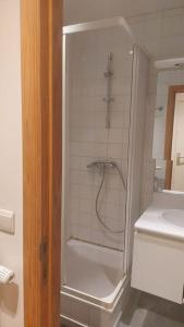 La salle de bains est pourvue d'une douche et d'un lavabo. dans l'établissement Charming 1-Bedroom Apartment, à Bruxelles