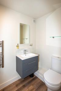 łazienka z umywalką i toaletą w obiekcie 30 Chipping Norton - Luxury Holiday Apartments w mieście Chipping Norton
