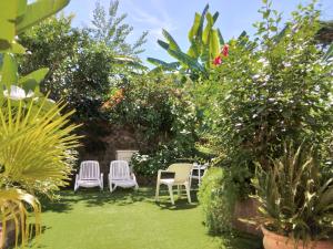 a garden with chairs and flowers and plants at Hotel Villa Angelica in Ischia