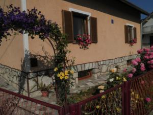 Zahrada ubytování Apartment Tomašević