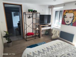 Sala de estar con cama y TV en Appartement rénovée dans maison ancienne en Amancy