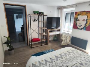 TV a/nebo společenská místnost v ubytování Appartement rénovée dans maison ancienne