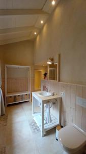 a bathroom with a white sink in a room at Die Hofraite Flonheim in Flonheim