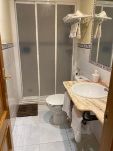 een badkamer met een toilet, een wastafel en een douche bij Apartamentos María Del Carmen in Torremolinos