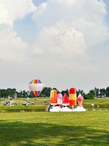 um grupo de balões de ar quente num campo em Flamingo Happy Villa Owner em Ngọc Quang
