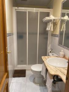 een badkamer met een douche, een toilet en een wastafel bij Apartamentos María Del Carmen in Torremolinos