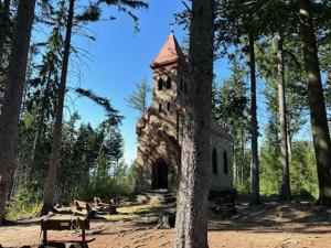 a small building in the middle of a forest at APARTAMENT "Opawska Przystań" in Głuchołazy