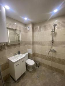 a bathroom with a toilet and a sink and a shower at Cozy-1BD Flat in Plovdiv