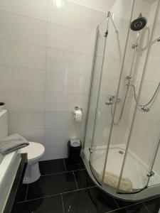 een badkamer met een douche en een toilet bij Ferienwohnung Villa Seiz in Schwäbisch Gmünd