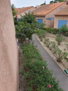 a garden with pink flowers and trees and buildings at Aigue Marine. in Canet-en-Roussillon