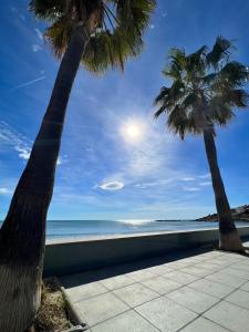two palm trees next to a beach with the ocean at Espacio ideal en la Playa in Oropesa del Mar