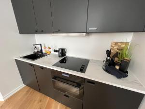 Kuchyň nebo kuchyňský kout v ubytování Cozy Apartment in Old Town Tartu