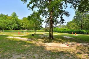 un parque con un árbol en el césped en Camping Etang de la Vallée, en Combreux