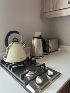 a tea kettle and a toaster on a kitchen counter at The Three Trees in Gillitts
