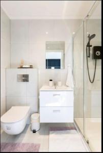 y baño blanco con aseo y ducha. en Guest house in Dublin en Cluain Aodha
