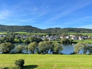 a small town next to a river with houses at Nautilus in Kinheim