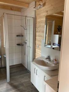 een badkamer met een wastafel, een douche en een spiegel bij Ferienhaus Vogelnest in Marktschorgast