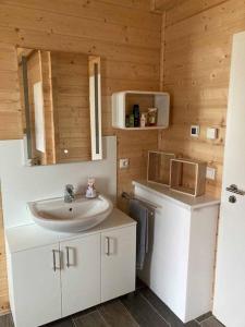 a bathroom with a sink in a wooden cabin at Ferienhaus Vogelnest in Marktschorgast