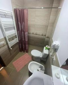 y baño pequeño con aseo y ducha. en Bucovina Inn en Voronet