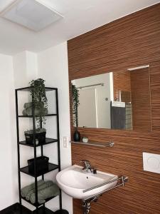 a bathroom with a sink and a mirror at 4-h3rOeS Legoland Günzburg Wohnung 2 in Leipheim