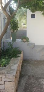 Φωτογραφία από το άλμπουμ του DOWNTOWN GARDEN σε Loviste