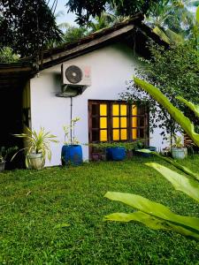 ein kleines weißes Haus mit einem Fenster und einigen Pflanzen in der Unterkunft Sachi's place in Tangalle