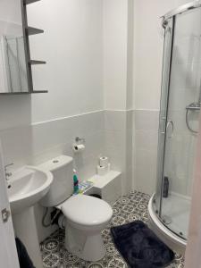 a bathroom with a toilet and a sink and a shower at Swinefleet Maisonettes. Airy, Modern & Chic! in Goole