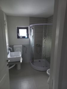y baño con ducha y lavamanos. en Casa Edy en Vişeu de Sus