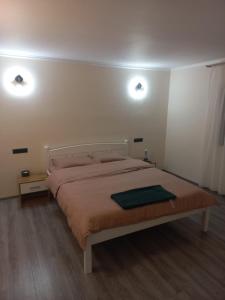 - une chambre avec un lit et deux lumières sur le mur dans l'établissement Casa Edy, à Vişeu de Sus