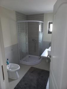 uma casa de banho com um chuveiro, um WC e um lavatório. em Casa Edy em Vişeu de Sus