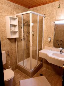 La salle de bains est pourvue d'une douche et d'un lavabo. dans l'établissement Hotel Bella, à Obertauern